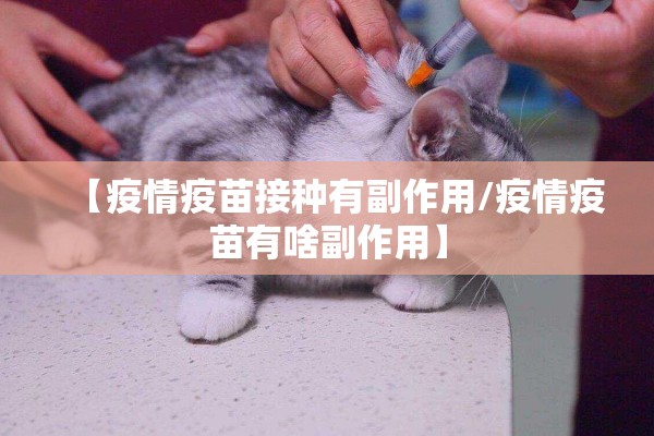 【疫情疫苗接种有副作用/疫情疫苗有啥副作用】