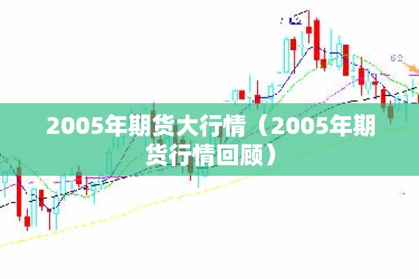 2005年期货大行情（2005年期货行情回顾）