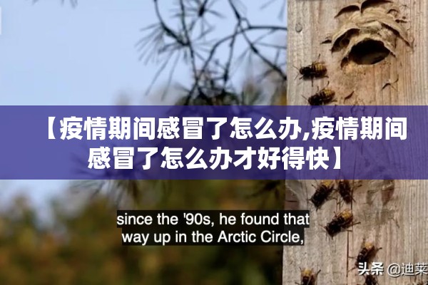 【疫情期间感冒了怎么办,疫情期间感冒了怎么办才好得快】 【疫情期间感冒了怎么办,疫情期间感冒了怎么办才好得快】