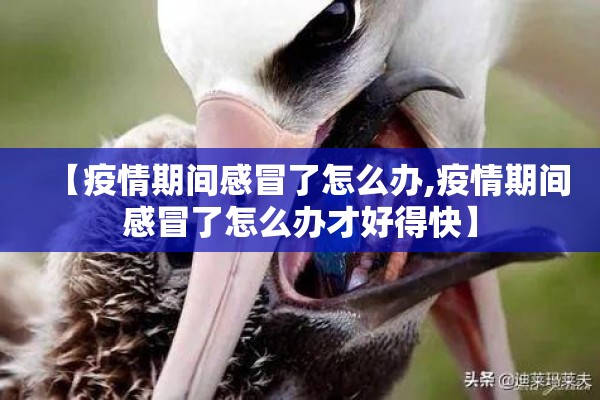 【疫情期间感冒了怎么办,疫情期间感冒了怎么办才好得快】 【疫情期间感冒了怎么办,疫情期间感冒了怎么办才好得快】