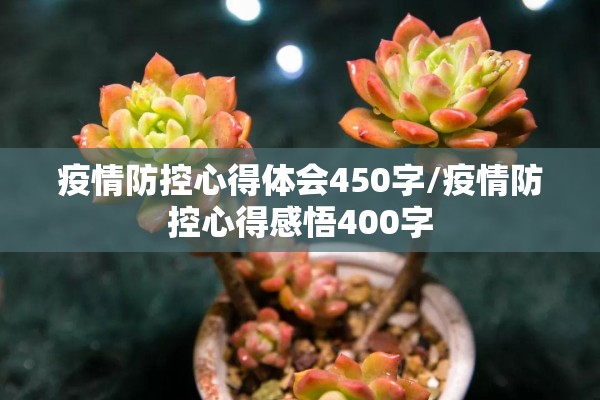 疫情防控心得体会450字/疫情防控心得感悟400字 疫情防控心得体会450字/疫情防控心得感悟400字