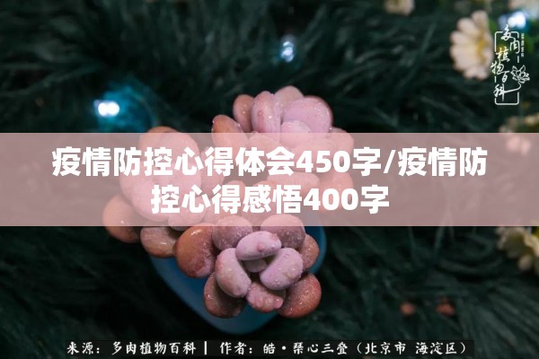 疫情防控心得体会450字/疫情防控心得感悟400字 疫情防控心得体会450字/疫情防控心得感悟400字
