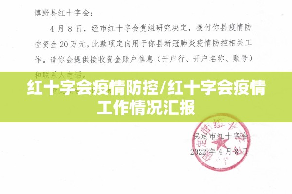 红十字会疫情防控/红十字会疫情工作情况汇报 红十字会疫情防控/红十字会疫情工作情况汇报