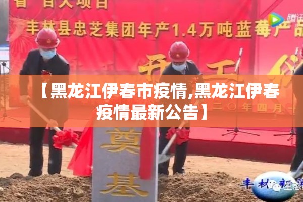 【黑龙江伊春市疫情,黑龙江伊春疫情最新公告】