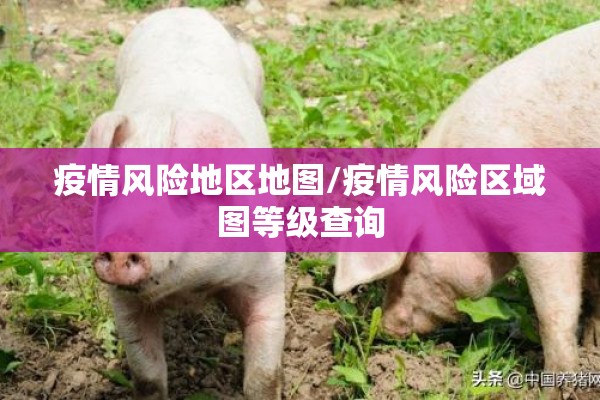 疫情风险地区地图/疫情风险区域图等级查询