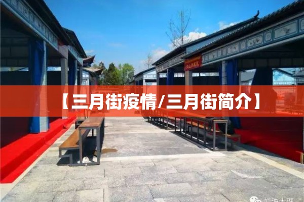 【三月街疫情/三月街简介】