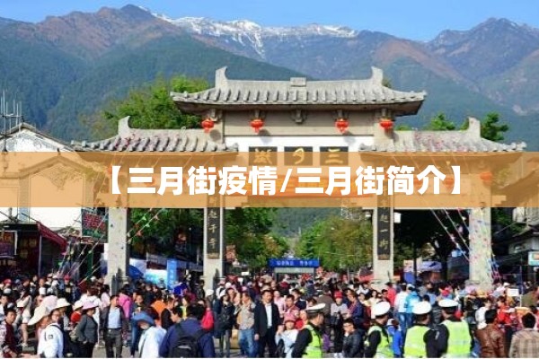 【三月街疫情/三月街简介】