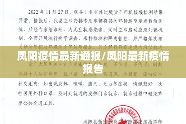 凤阳疫情最新通报/凤阳最新疫情报告
