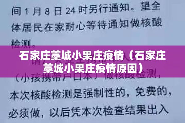 石家庄藁城小果庄疫情(石家庄藁城小果庄疫情原因) 石家庄藁城小果庄疫情(石家庄藁城小果庄疫情原因)