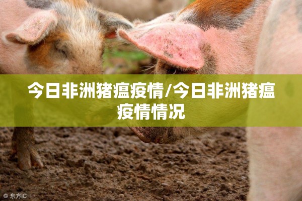 今日非洲猪瘟疫情/今日非洲猪瘟疫情情况 今日非洲猪瘟疫情/今日非洲猪瘟疫情情况
