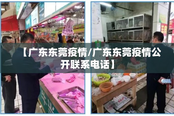 【广东东莞疫情/广东东莞疫情公开联系电话】