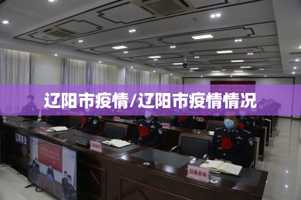 辽阳市疫情/辽阳市疫情情况