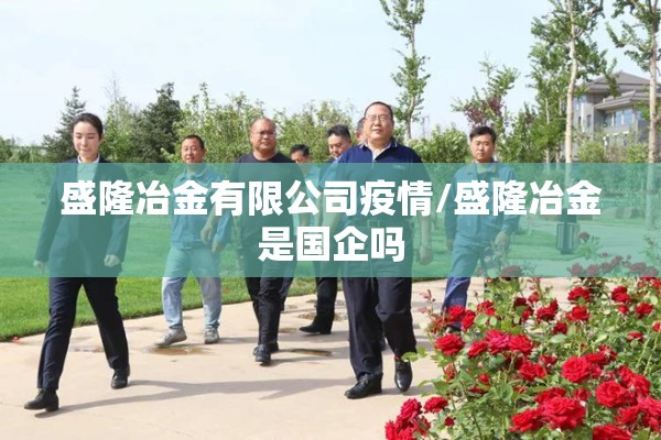 盛隆冶金有限公司疫情/盛隆冶金是国企吗
