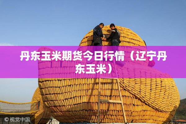 丹东玉米期货今日行情(辽宁丹东玉米) 丹东玉米期货今日行情(辽宁丹东玉米)