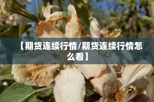 【期货连续行情/期货连续行情怎么看】