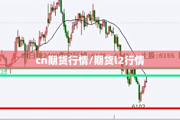 cn期货行情/期货l2行情 cn期货行情/期货l2行情