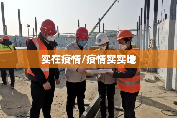 实在疫情/疫情实实地 实在疫情/疫情实实地