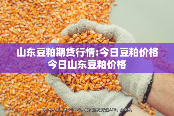 山东豆粕期货行情:今日豆粕价格今日山东豆粕价格 山东豆粕期货行情:今日豆粕价格今日山东豆粕价格