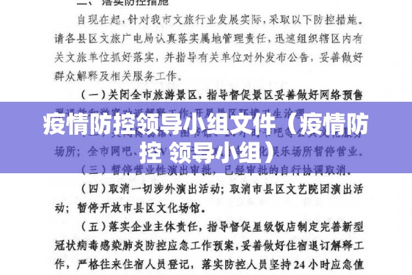 疫情防控领导小组文件（疫情防控 领导小组）