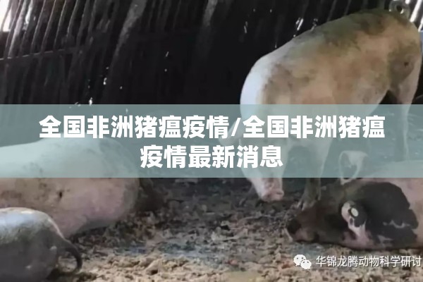 全国非洲猪瘟疫情/全国非洲猪瘟疫情最新消息 全国非洲猪瘟疫情/全国非洲猪瘟疫情最新消息