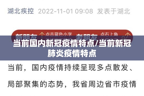 当前国内新冠疫情特点/当前新冠肺炎疫情特点