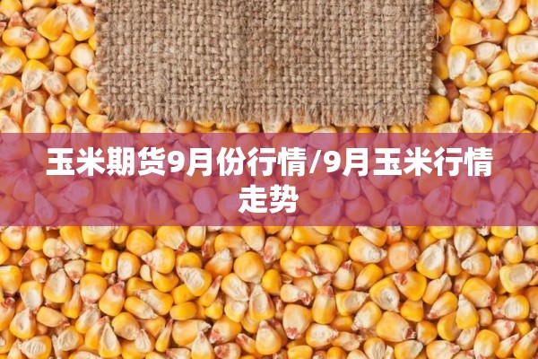 玉米期货9月份行情/9月玉米行情走势 玉米期货9月份行情/9月玉米行情走势