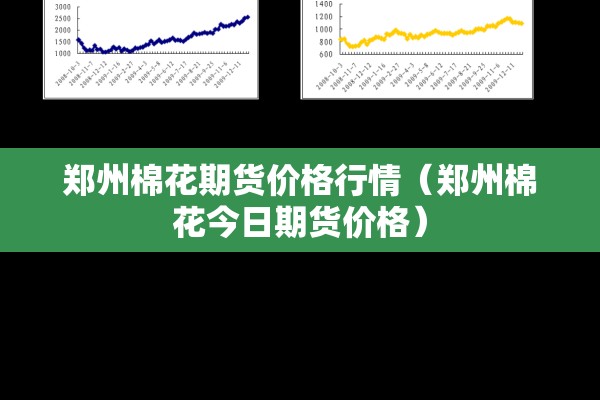 郑州棉花期货价格行情（郑州棉花今日期货价格）
