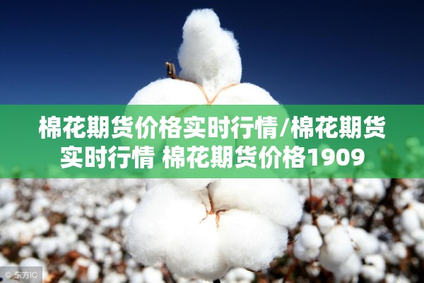 棉花期货价格实时行情/棉花期货实时行情 棉花期货价格1909