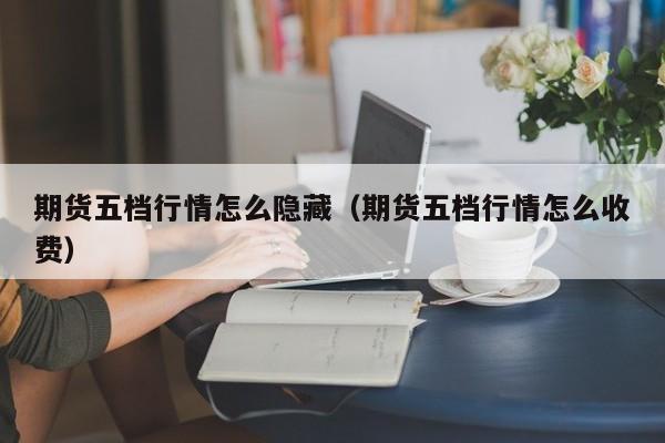 期货五档行情怎么隐藏(期货五档行情怎么收费)