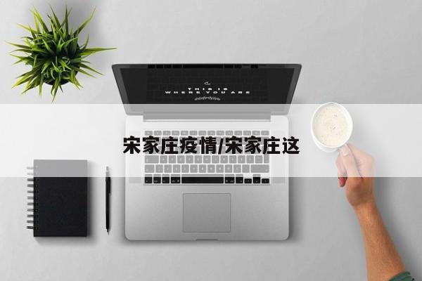 宋家庄疫情/宋家庄这