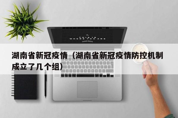 湖南省新冠疫情(湖南省新冠疫情防控机制 成立了几个组)